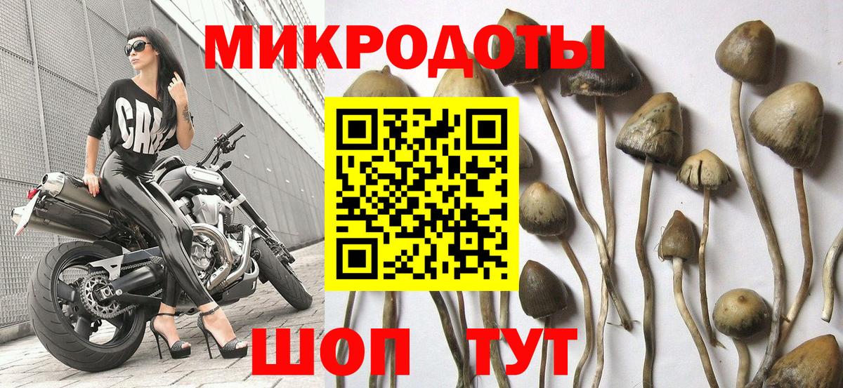 Псилоцибиновые грибы ЛСД Сызрань