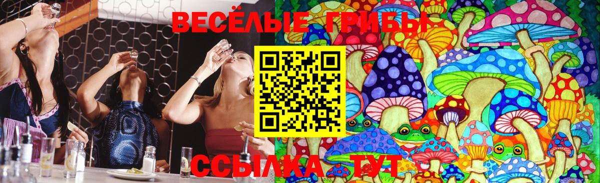 Галлюциногенные грибы MAGIC MUSHROOMS  Псилоцибиновые грибы MAGIC MUSHROOMS  Вход с VPN  Сызрань 